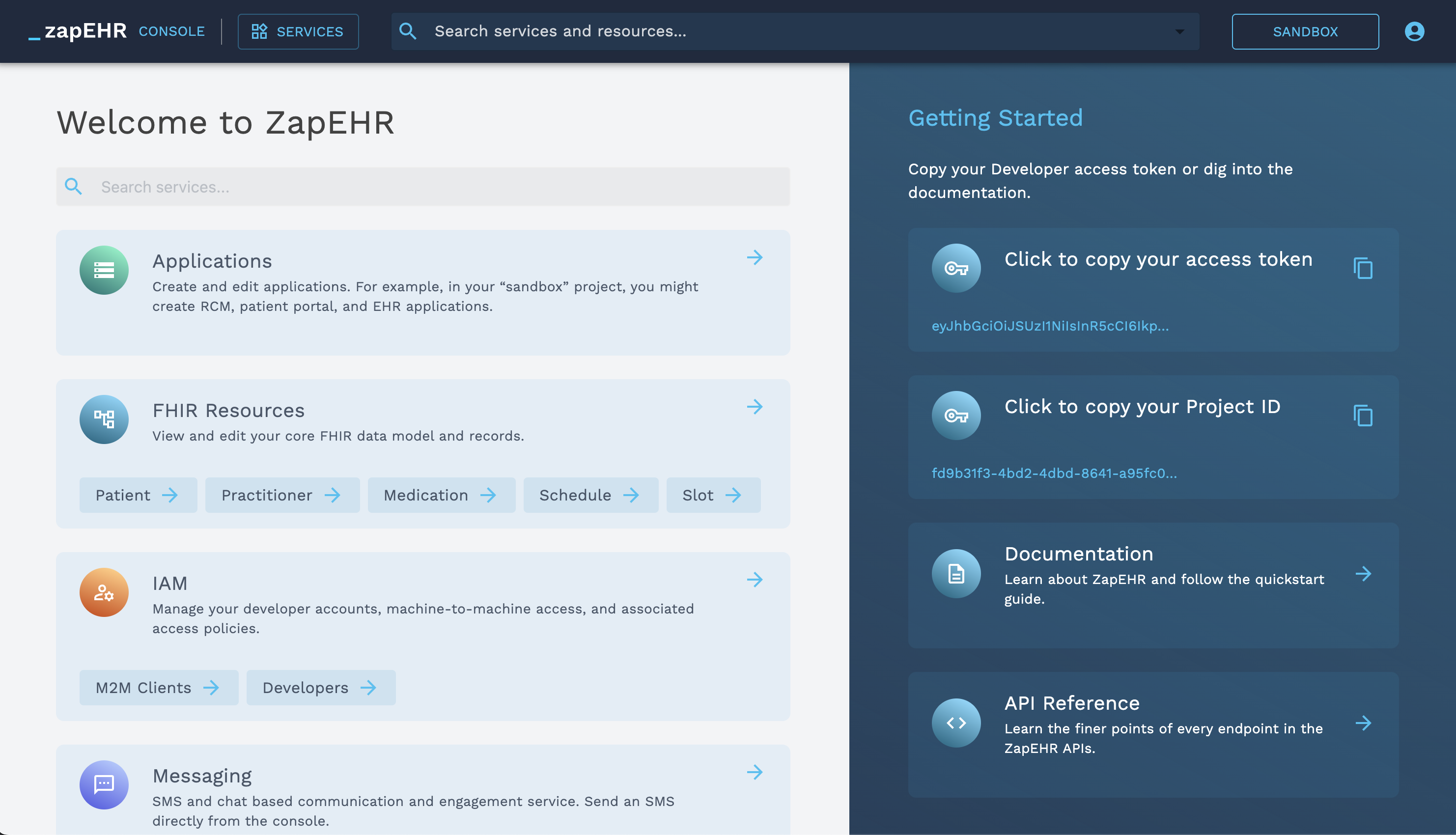 Screenshot of ZapEHR Developer Console Landing Page